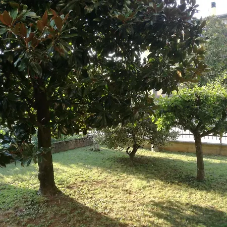 La Magnolia